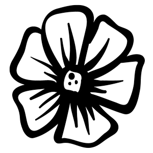 alpenglowmusic.com